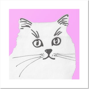 White Persian on Pink Posters and Art